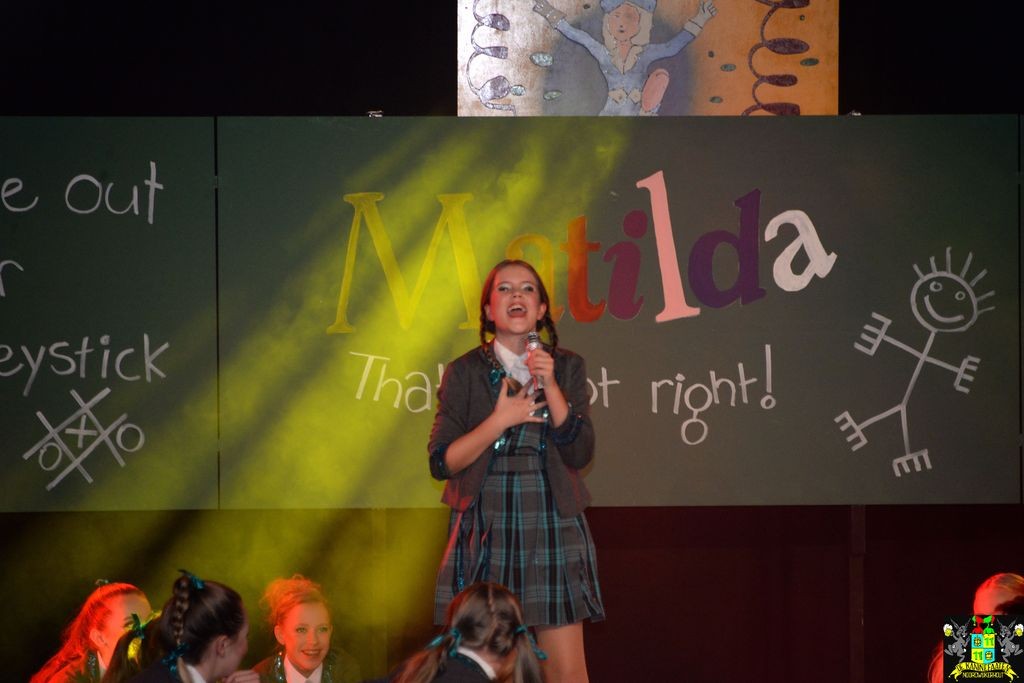 ../Images/Dansmarieke festival 2018 402.jpg